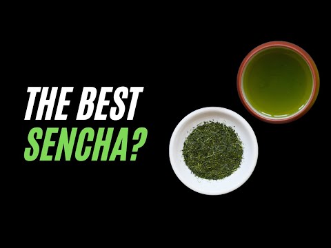 What's the Best Sencha? Murasaki Sencha vs. Asatsuyu