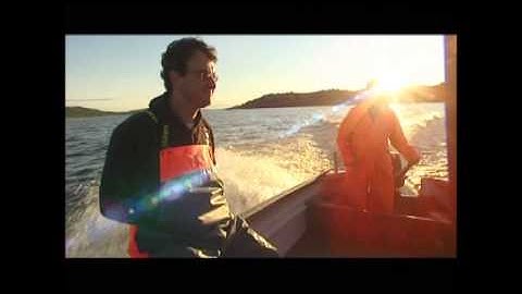 Acadian Sturgeon and Caviar at Fortune Hunters part 1