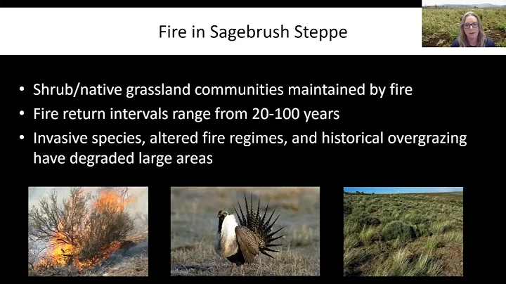 Fire Ecology of Oregon Forests: Sagebrush Ecosystems @oregonstateextension
