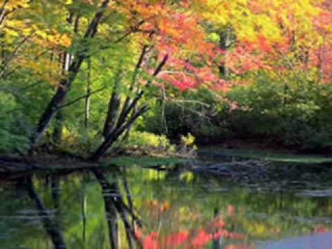 شعبك يترجاك لأسمك يا فادينا بيشوي نادي 