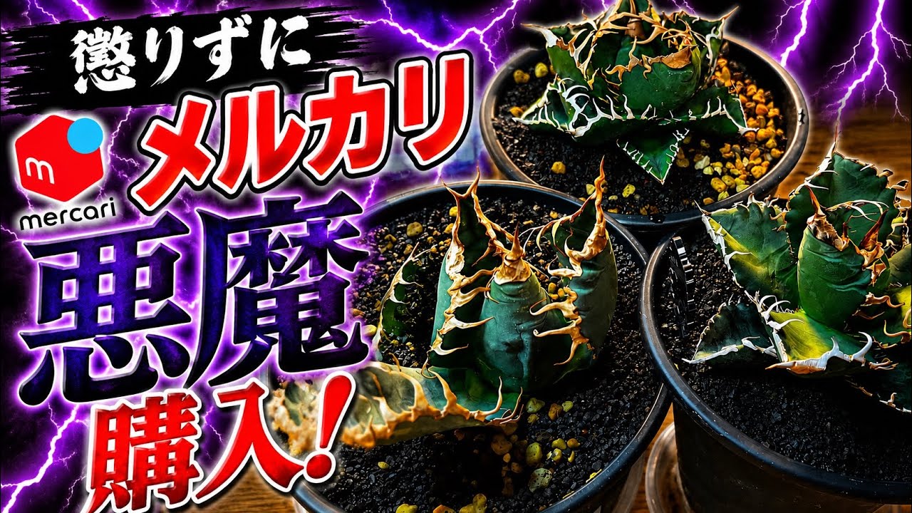 懲りずにメルカリで悪魔購入！ - YouTube