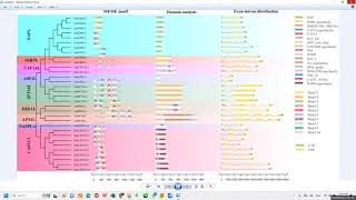 In-Silico Gene Functional Analysis Session-2 Gene Structure Analysis