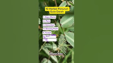 Thumbnail of 10 Herbal Penurun Gula Darah Tinggi #manfaatkesehatan