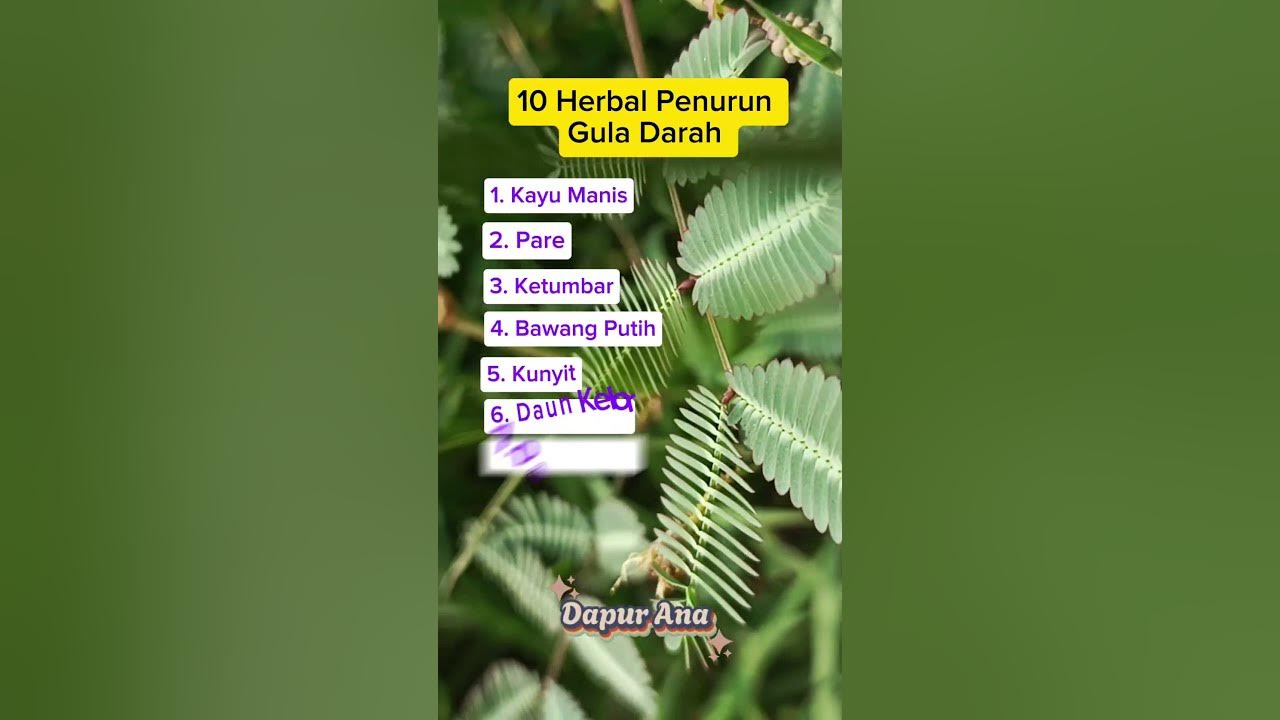 10 Herbal Penurun Gula Darah Tinggi #manfaatkesehatan