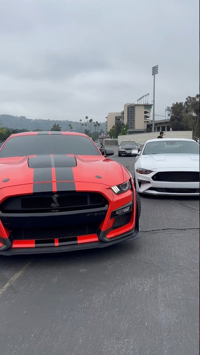 Shelby GT500 Rolling Though Car Meet 🏎️