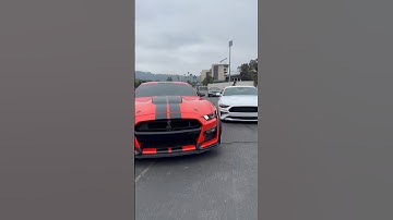 Shelby GT500 Rolling Though Car Meet 🏎️