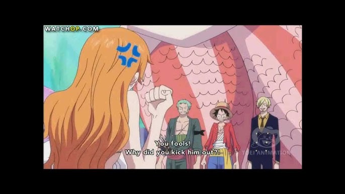 Who said Nami was such a wimp?!! One Piece Episode 891 Land Of