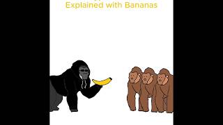 What is a Crypto Rug Pull (Animated Explanation) #animation #finance #cyrpto