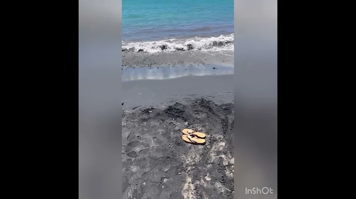 Playa Negra, Vieques Puerto Rico
