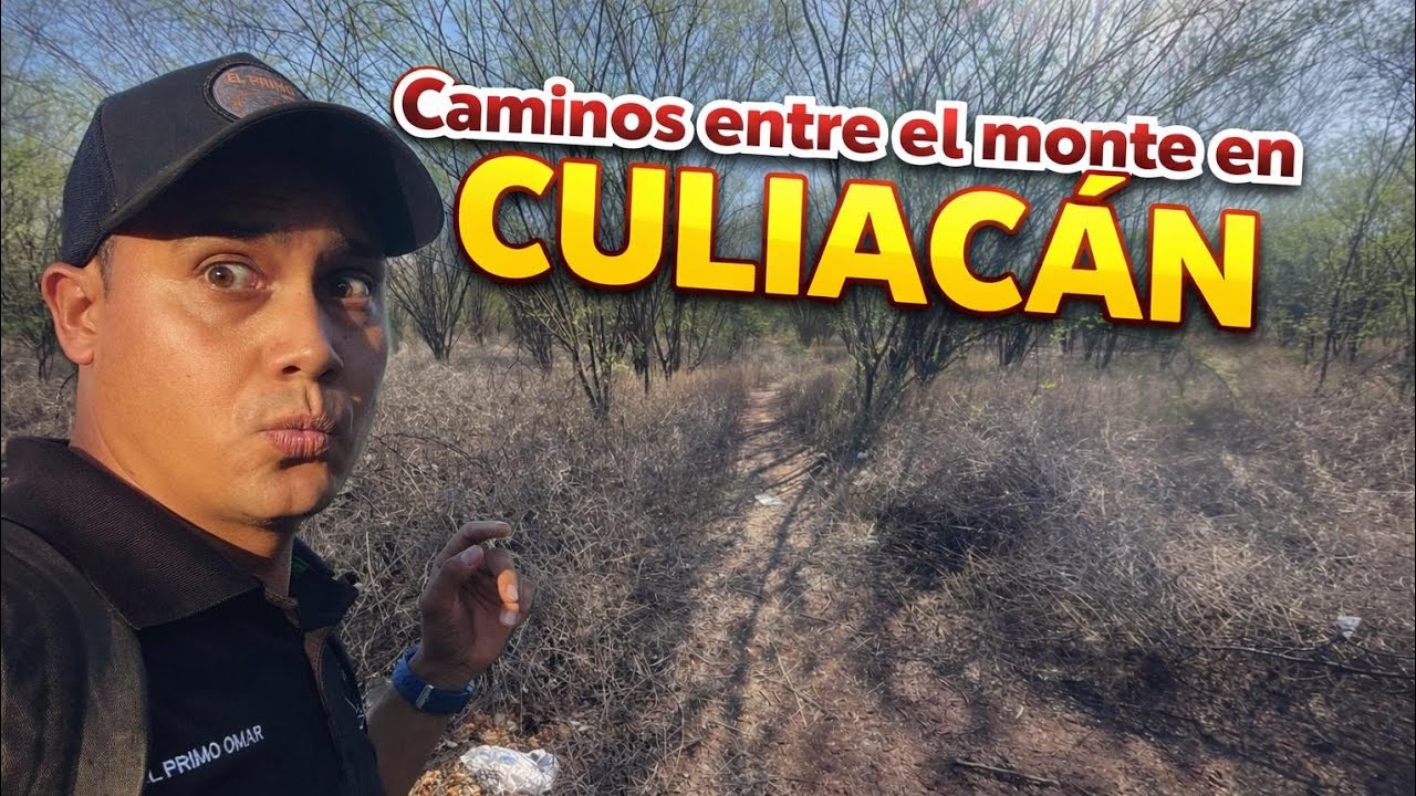 🔴caminos de enredos en cul1acan zona p3ligr0sa😰