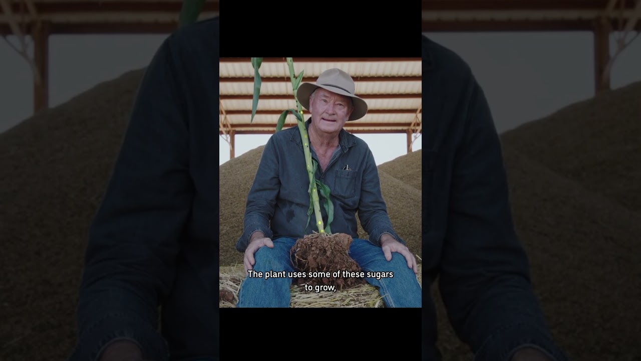 Regenerative agriculture has saved this farm $2 million