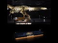 LEGO 76968 T. rex Fossil Display Case #LegoJurassicWorld #jwoodesign