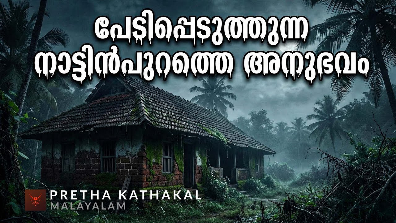 പേടിപ്പെടുത്തുന്ന നാട്ടിൻപുറത്തെ അനുഭവം | horror story malayalam | ghost story malayalam