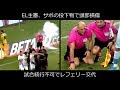 EL主審、サポの投下物で頭部損傷　試合続行不可でレフェリー交代