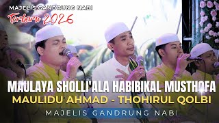 Download lagu MAULAYA SHOLLI'ALA HABIBIKAL MUSTHOFA (FULL KOPLO) MAJELIS GANDRUNG NABI TERBARU 2026