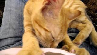 CIMG0371.AVI