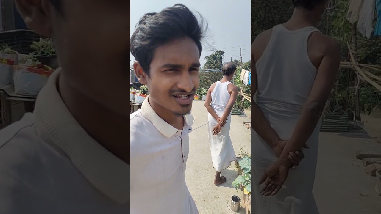 ফুলকপি চাষের জমি তৈরি কিভাবে করবেন?ফুলকপি চাষের সম্পূর্ণ পদ্ধতি