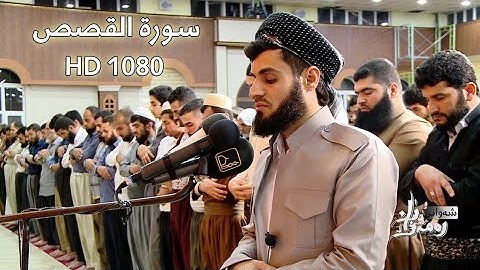 سبحان من رزقه هذا الصوت وهذا الخشوع  القارئ رعد الكردي في تلاوة خاشعة لسورة القصص
