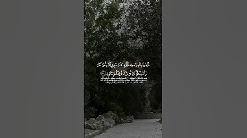 تلاوة بصوت الشيخ أنس العمادي 