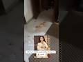Sana Yousaf Room After Murder All Credit To Qunee Alfiya Ff Sanayoutubechannel Sana Yousaf Room After Murder All Credit To Qunee Alfiya Ff Sanayoutubechannel