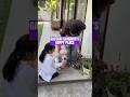 VIRAL | Fans Love Gambhir’s Adorable Picture With Daughter & Pet Dog #viral #viralvideos #shorts