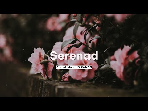 Ahmet Muhip Dıranas | Serenad