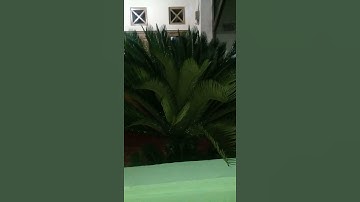 Thumbnail of andai ku tahu