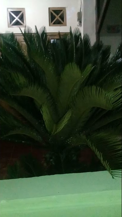 andai ku tahu
