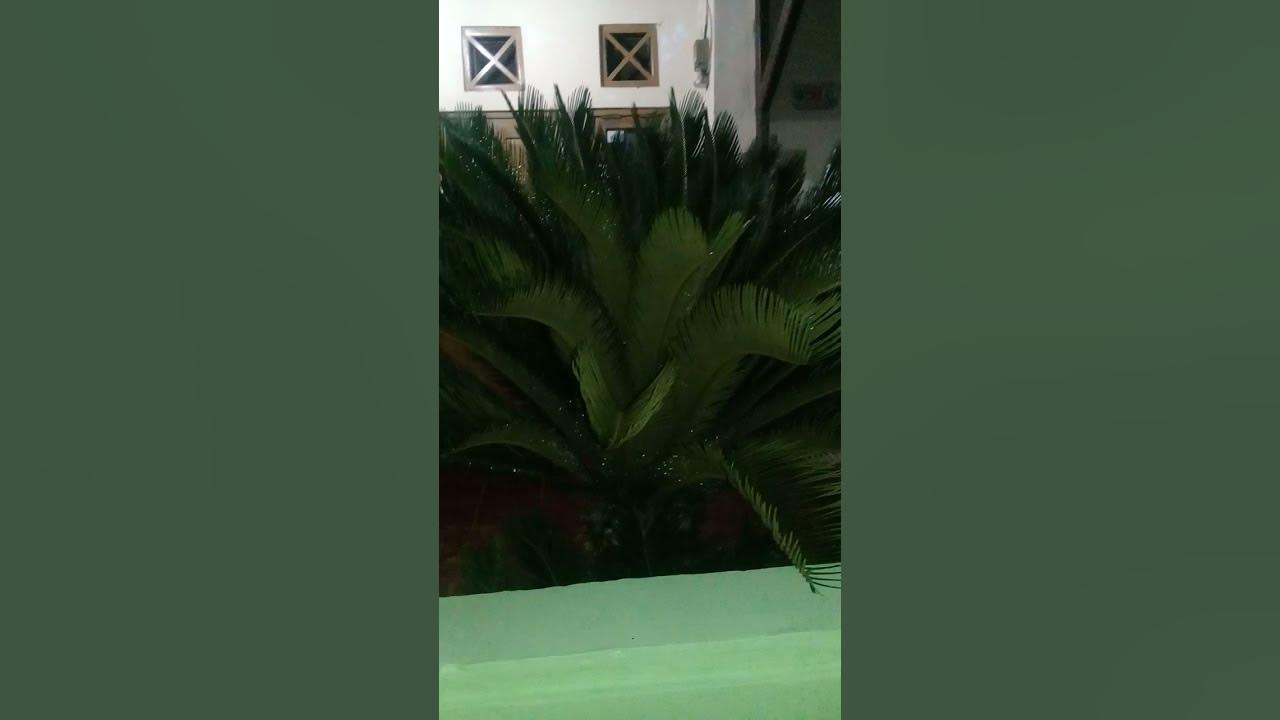andai ku tahu