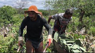 SÉRIO GENTE PENSE NO MOÍDO NALDINHO SE  ZANGOU SE POR QUE FOI CONTA AS PALMAS E FLÁVIO ATRAPALHOU KK