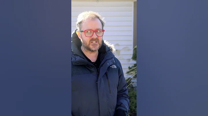 Why Are U.S. Houses Built With Wood? | #shorts