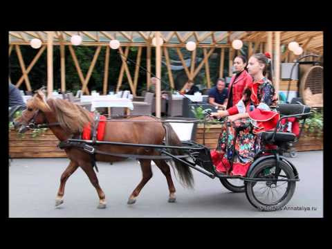 Simon Danielov / EX RAMDENGER FAITONIT/ ეხ რამდენჯერ ფაიტონით