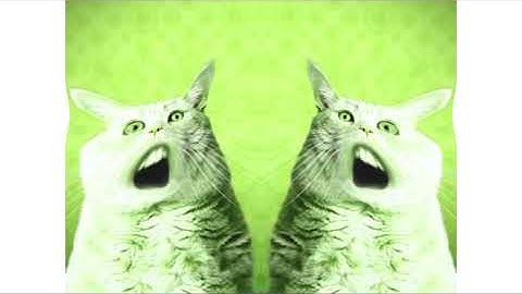 Numa Cat In V Major In Blind