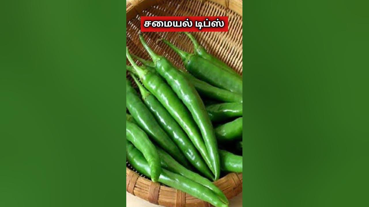 Green Chilli Source 122 Mullangi Thuvaiyal Conflor Powder In Tamil green-chilli-source-122-mullangi-thuvaiyal-conflor-powder-in-tamil