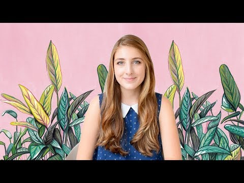 Video: Cómo Pintar Flores Con Gouache