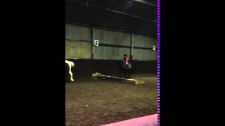 Abby-Rose & Darcy first Jump