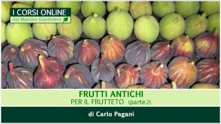 Trailer corso: Frutti antichi per il frutteto (parte 2)