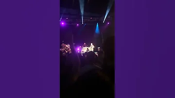 Pitbull In Concert 