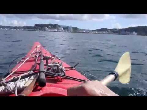 鎌倉カヤック釣りバカ日記（8/25)ー素晴らしい鎌倉海でソーダカツオと大運動会で遊ぶ、釣果は10匹、イワシ多数、 - YouTube