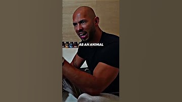 Use this to feel like you have taken the limitless pill 🧠 💊