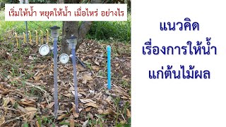 ทุเรียน101 - ตอนที่ 03 - แนวคิดเรื่องการให้น้ำแก่ต้นไม้ผล