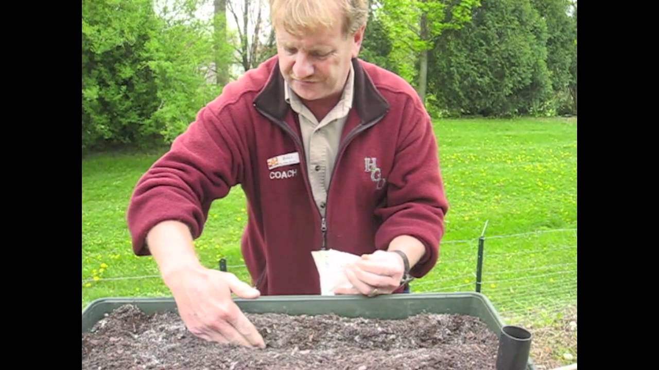 Earth Box Planting YouTube
