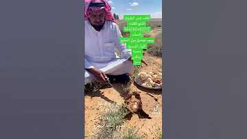 استزراع الكماء الترفاس الفقع من الرقروق 