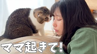 爆睡するママをキスで起こすパパ猫がこちらですw