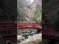 100日後に正体を明かす新人歌い手。108日目です。#千本桜 #歌ってみた