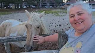 Simple Adventure to Eastern Shore