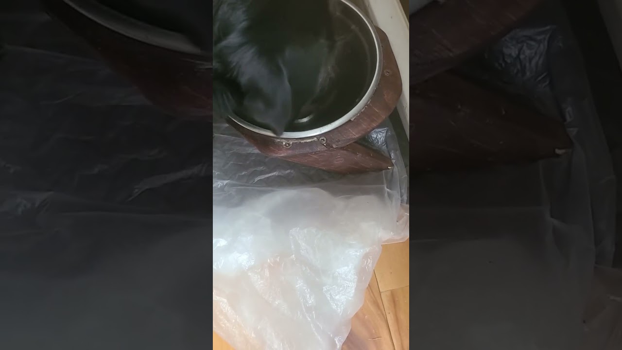 putting him on a diet prank