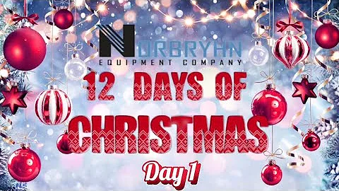 Day 1 - 12 Days of Christmas Giveaway 2025