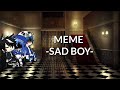 Meme || Sad Boy || ~Docinho Chan