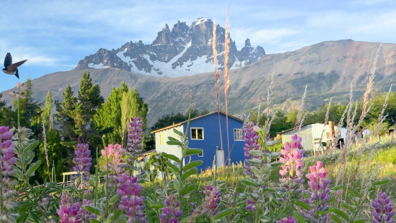 CARRETERA AUSTRAL// 5 días en la ruta más hermosa de Chile 🇨🇱 